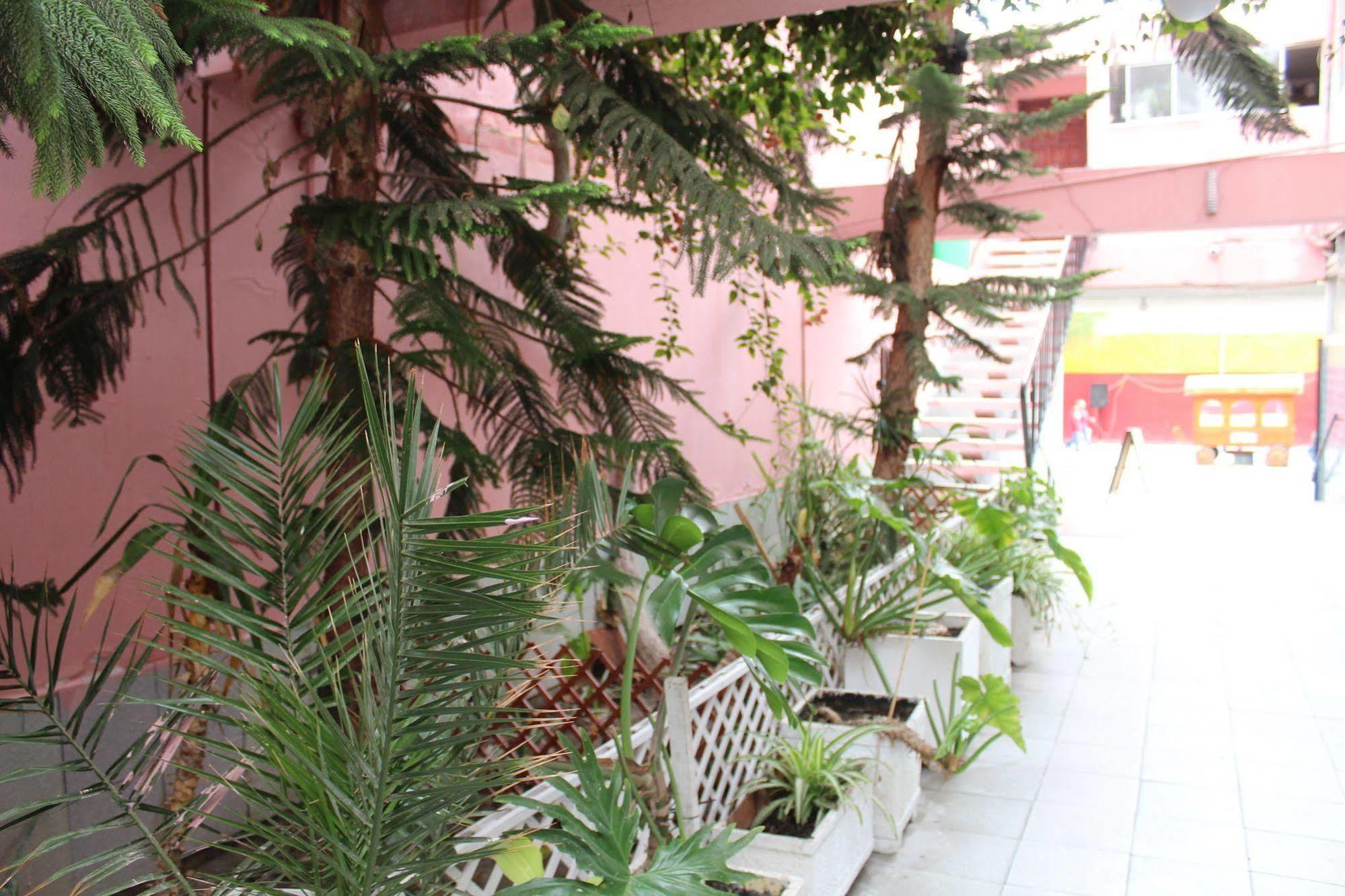 Hotel Concorde Arica Dış mekan fotoğraf