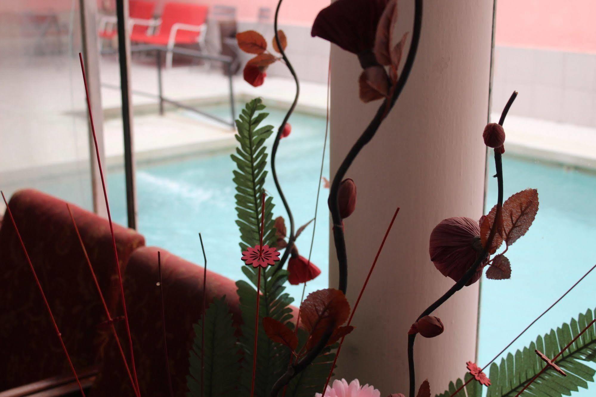 Hotel Concorde Arica Dış mekan fotoğraf